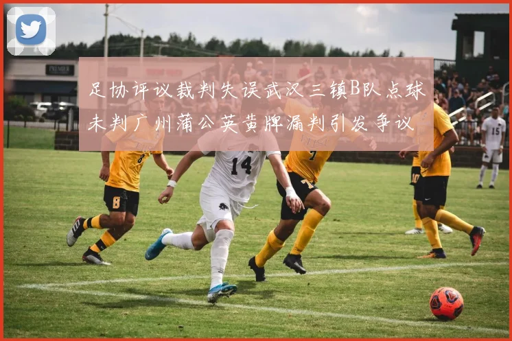 足协评议裁判失误武汉三镇B队点球未判广州蒲公英黄牌漏判引发争议